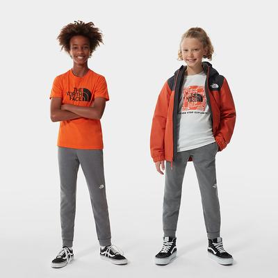 Jogger Nohavice The North Face SURGENT JOGGERS Chlapcenske Siva | NPL-079428
