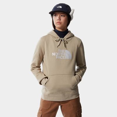 Mikiny S Kapucňou The North Face DREW PEAK Damske Svetlo Hnede | NFW-216978