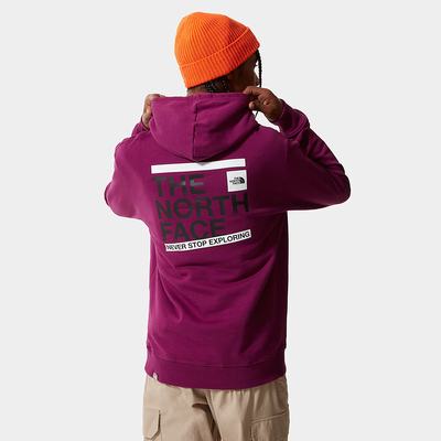 Mikiny S Kapucňou The North Face Slice Panske Nachový | SOE-729468