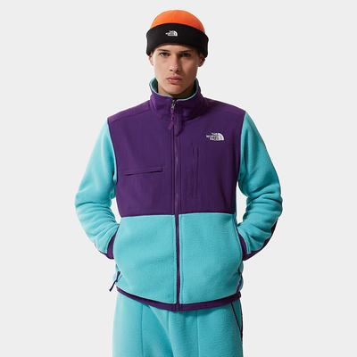 Mikiny The North Face Denali 2 Panske Modre Nachový | EXY-120384