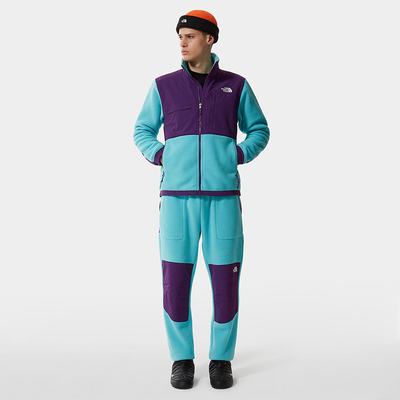 Nohavice The North Face Denali Panske Modre Nachový | VUY-764032