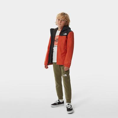 Nohavice The North Face SLACKER Chlapcenske Olivovo Zelená Zelene | BFR-417958
