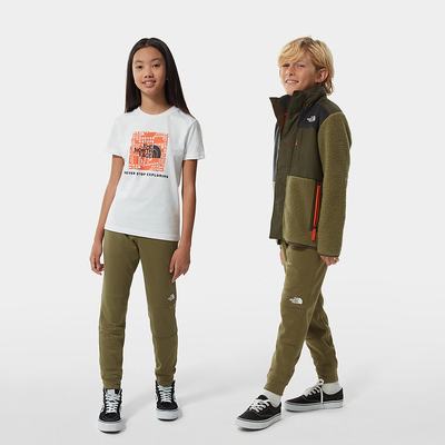 Nohavice The North Face SURGENT JOGGERS Chlapcenske Olivovo Zelená Zelene | JPM-918035