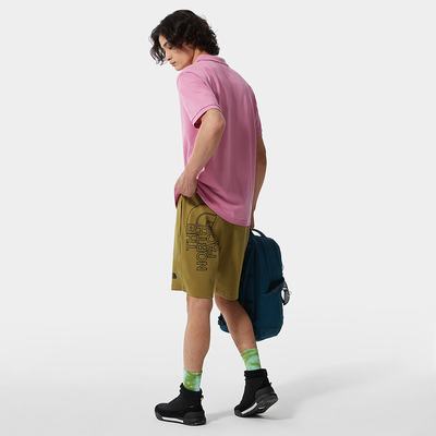 Sortky The North Face Grafika Light Panske Zelene | CFG-497260