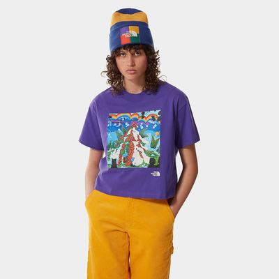 Tricko The North Face Colour Block Cropped Damske Nachový | JYA-614829