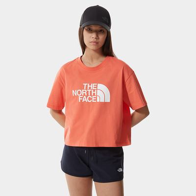 Tricko The North Face EASY CROPPED Damske Oranžové | KHX-893174