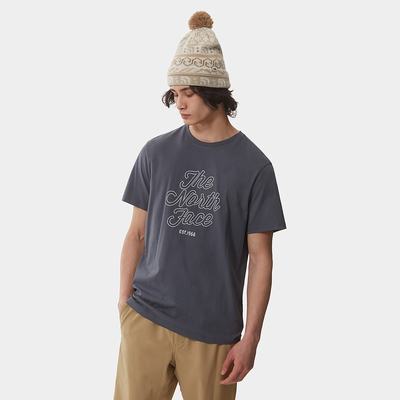 Tricko The North Face NATURAL WONDERS Panske Siva | EUS-138675