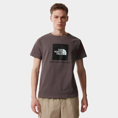 Tricko The North Face Raglan Redbox Panske Tmavo Siva Nachový | XJB-843601