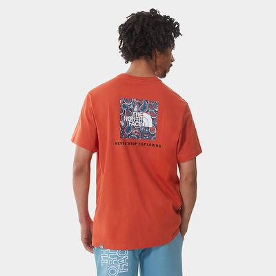 Tricko The North Face Redbox Panske Modre Siva | LNT-748216