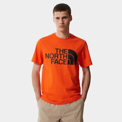 Tricko The North Face Standard Panske Červené Oranžové | PBG-493021